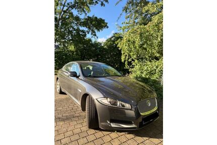 Jaguar XF Gebrauchtwagen