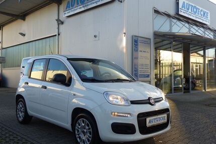 Fiat Panda Gebrauchtwagen