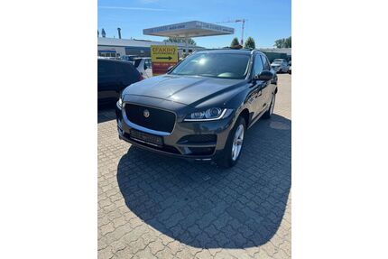 Jaguar F-Pace Gebrauchtwagen