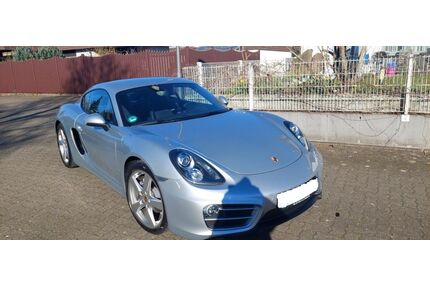 Porsche Cayman Gebrauchtwagen