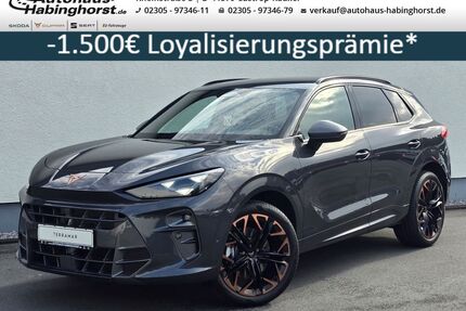 Cupra Terramar Gebrauchtwagen