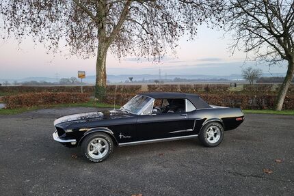 Ford Mustang Gebrauchtwagen