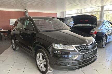 Skoda Karoq Gebrauchtwagen