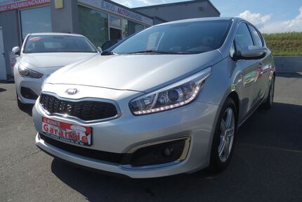 Kia ceed / Ceed Gebrauchtwagen