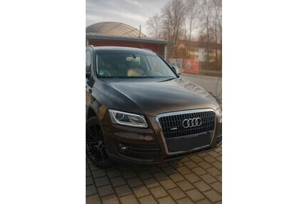 Audi Q5 Gebrauchtwagen
