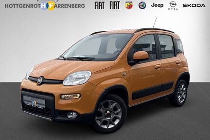 Fiat Panda Gebrauchtwagen