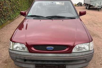 Ford Escort Gebrauchtwagen