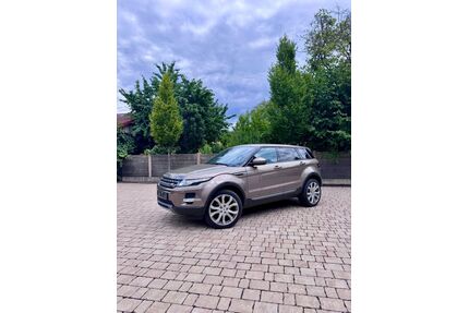 Land Rover Range Rover Evoque Gebrauchtwagen