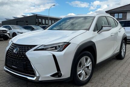 Lexus UX Gebrauchtwagen