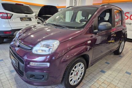 Fiat New Panda Gebrauchtwagen