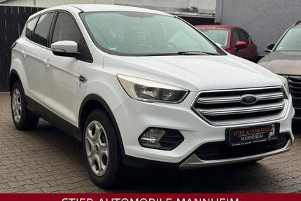 Ford Kuga Gebrauchtwagen