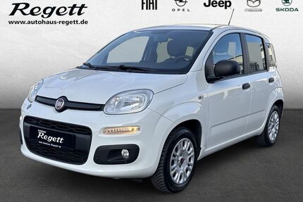 Fiat Panda Gebrauchtwagen