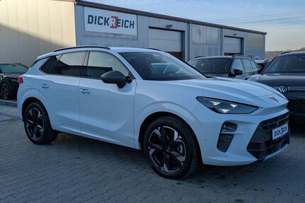 Cupra Terramar Gebrauchtwagen