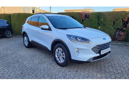 Ford Kuga Gebrauchtwagen