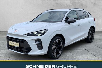 Cupra Terramar Gebrauchtwagen