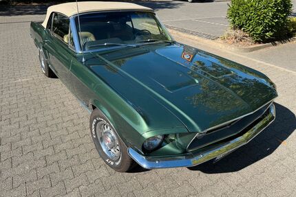 Ford Mustang Gebrauchtwagen
