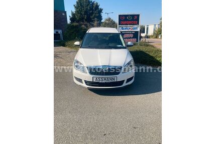 Skoda Roomster Gebrauchtwagen