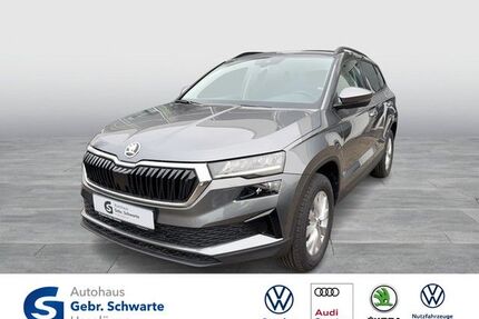 Skoda Karoq Gebrauchtwagen