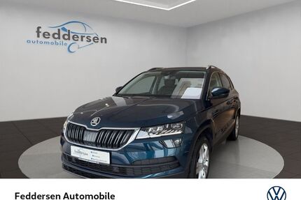 Skoda Karoq Gebrauchtwagen