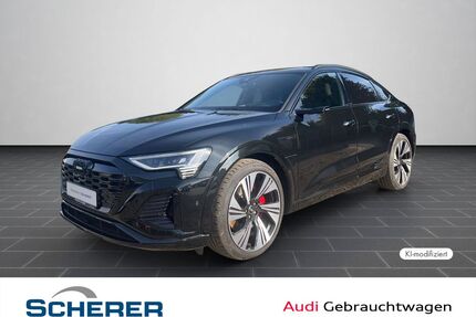 Audi Q8 e-tron Gebrauchtwagen
