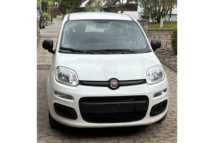 Fiat New Panda Gebrauchtwagen