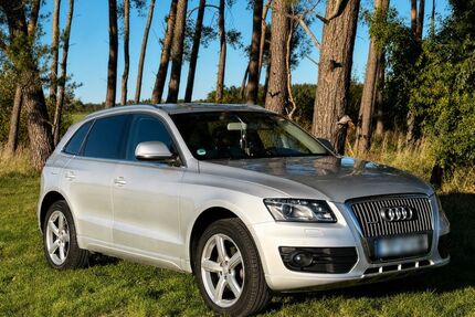Audi Q5 Gebrauchtwagen