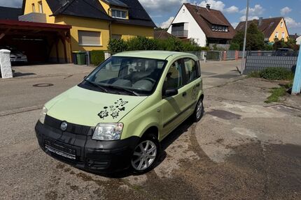 Fiat Panda Gebrauchtwagen