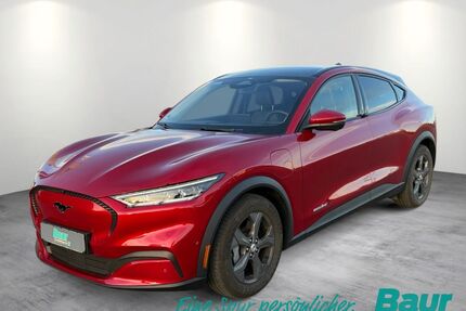 Ford Mustang Mach-E Gebrauchtwagen