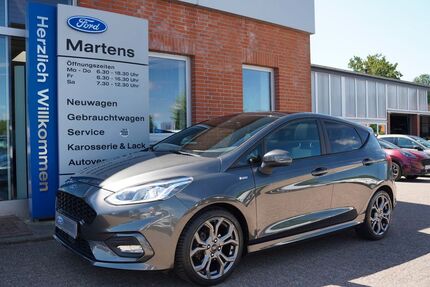 Ford Fiesta Gebrauchtwagen