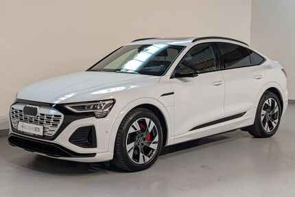 Audi Q8 e-tron Gebrauchtwagen