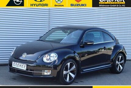 VW Beetle Gebrauchtwagen