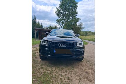 Audi Q5 Gebrauchtwagen