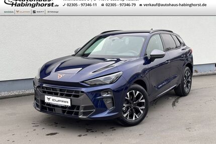 Cupra Terramar Gebrauchtwagen
