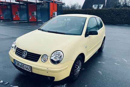 VW Polo Gebrauchtwagen