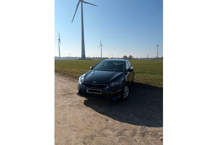 Kia ceed / Ceed Gebrauchtwagen
