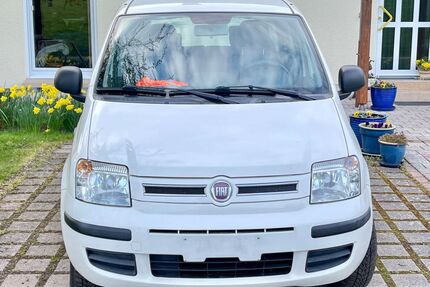 Fiat Panda Gebrauchtwagen