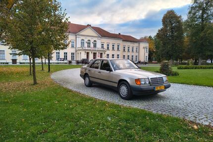 Mercedes-Benz 230 Gebrauchtwagen