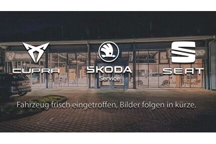 Cupra Born Gebrauchtwagen