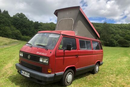 VW T3 Multivan Gebrauchtwagen