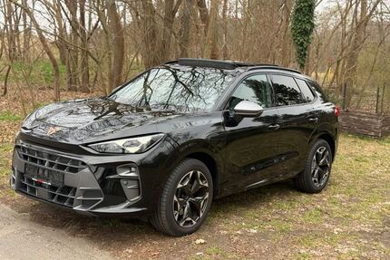 Cupra Terramar Gebrauchtwagen