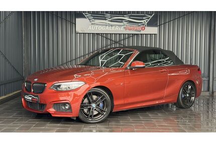 BMW 225 Gebrauchtwagen