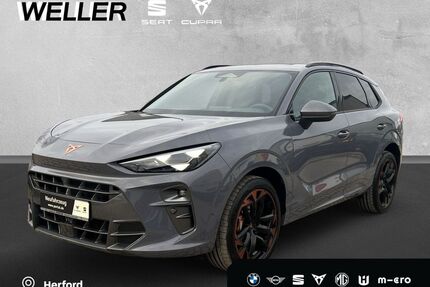 Cupra Terramar Gebrauchtwagen