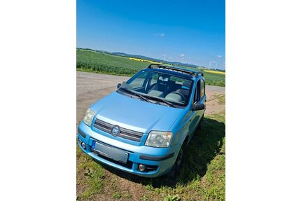 Fiat Panda Gebrauchtwagen
