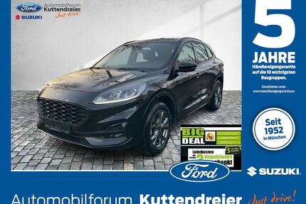 Ford Kuga Gebrauchtwagen