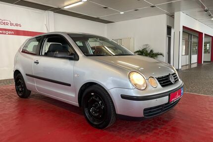 VW Polo Gebrauchtwagen