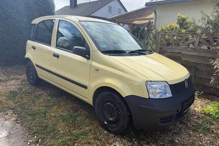 Fiat Panda Gebrauchtwagen