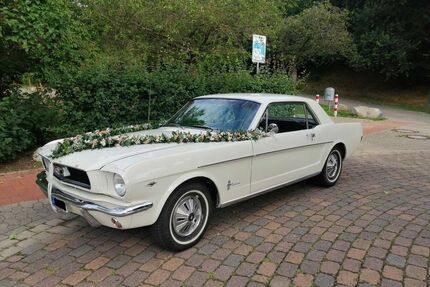 Ford Mustang Gebrauchtwagen