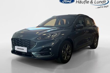 Tesla Kuga 