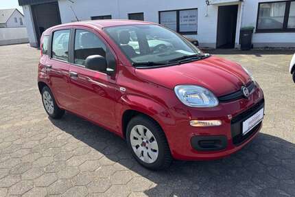 Fiat Panda Gebrauchtwagen
