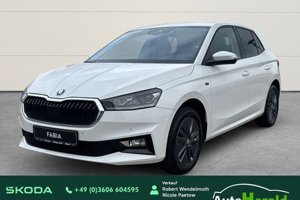 Skoda Fabia Gebrauchtwagen